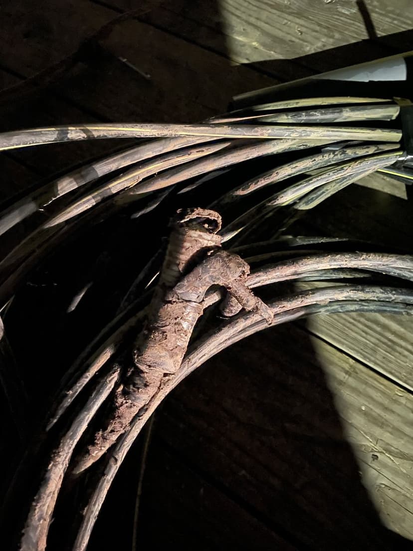 Expert Craftsmanship's image